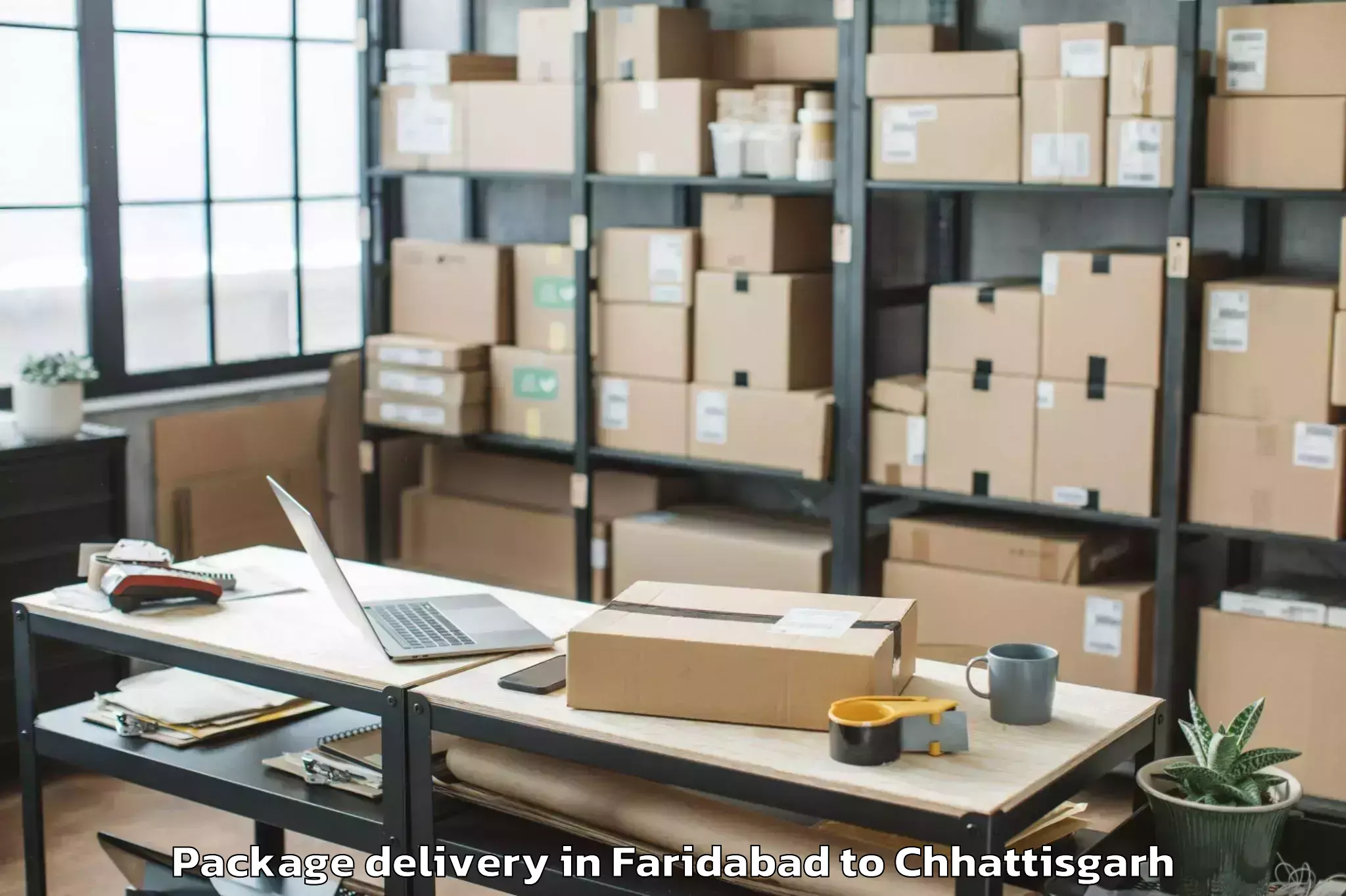 Affordable Faridabad to Kurud Package Delivery